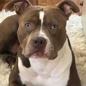 Meet your Posher, Seán fitzgerald